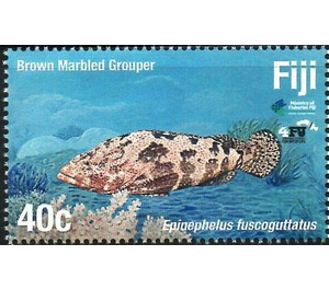 Marbled Grouper - Melanesia / Fiji 2019 - 40