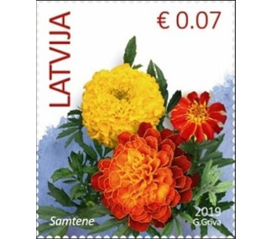 Marigold (2019 Imprint Date) - Latvia 2019 - 0.07