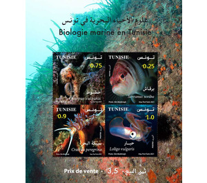 Marine biology in Tunisia - Tunisia 2021