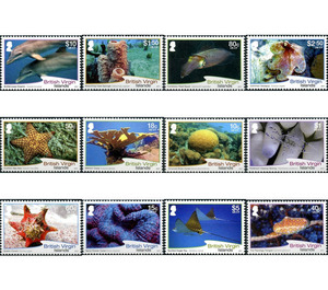 Marine Fauna - Caribbean / British Virgin Islands 2017 Set