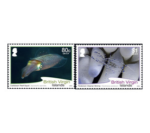 Marine Fauna - Caribbean / British Virgin Islands 2020 Set