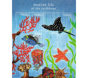 Marine life - Caribbean / Dominica 2013