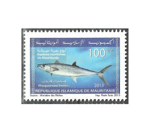 Marine Life Of Mauritania (Series I) - West Africa / Mauritania 2013 - 100