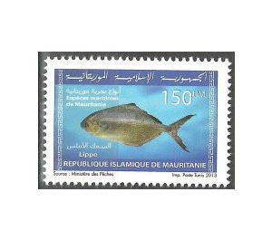 Marine Life Of Mauritania (Series I) - West Africa / Mauritania 2013 - 150