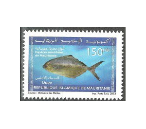 Marine Life Of Mauritania (Series I) - West Africa / Mauritania 2013 - 150