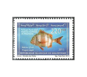 Marine Life Of Mauritania (Series I) - West Africa / Mauritania 2013 - 220