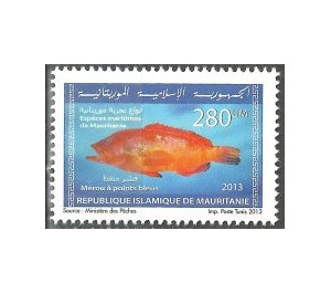 Marine Life Of Mauritania (Series I) - West Africa / Mauritania 2013 - 280
