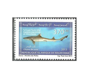 Marine Life Of Mauritania (Series I) - West Africa / Mauritania 2013 - 370