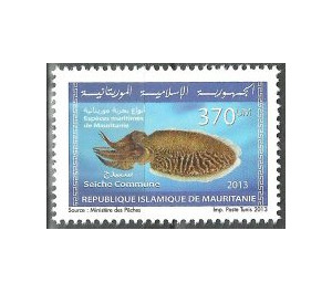 Marine Life Of Mauritania (Series I) - West Africa / Mauritania 2013 - 370