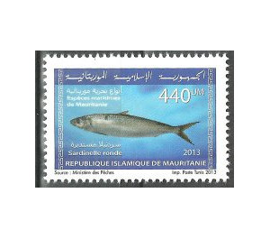 Marine Life Of Mauritania (Series I) - West Africa / Mauritania 2013 - 440