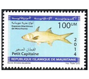 Marine Life Of Mauritania (Series II) - West Africa / Mauritania 2014 - 100