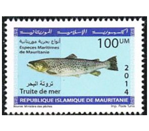 Marine Life Of Mauritania (Series II) - West Africa / Mauritania 2014 - 100