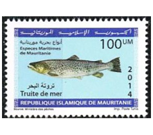 Marine Life Of Mauritania (Series II) - West Africa / Mauritania 2014 - 100