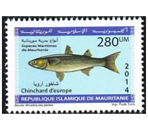 Marine Life Of Mauritania (Series II) - West Africa / Mauritania 2014 - 280