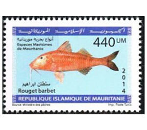 Marine Life Of Mauritania (Series II) - West Africa / Mauritania 2014 - 440