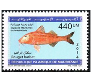 Marine Life Of Mauritania (Series II) - West Africa / Mauritania 2014 - 440