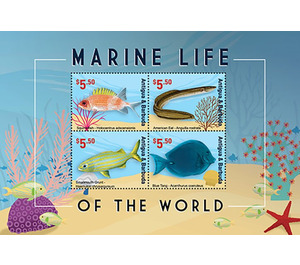 Marine Life of the World - Caribbean / Antigua and Barbuda 2021