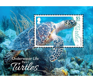 Marine Life Series I - Turtles - Caribbean / British Virgin Islands 2017