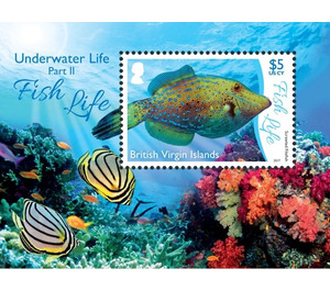 Marine Life Series II - Fishes - Caribbean / British Virgin Islands 2017