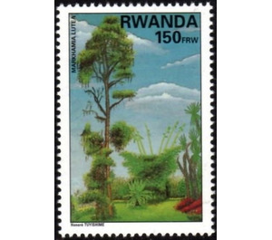 Markhamia lutea - East Africa / Rwanda 1995 - 150
