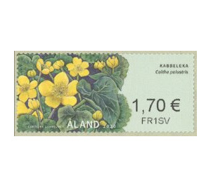 Marsh-marigold (Caltha palustris) - Åland Islands 2020 - 1.70