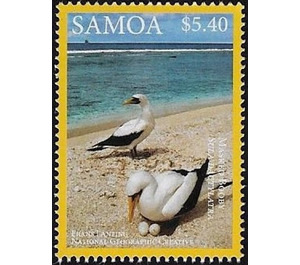 Masked Booby (Sula dactylatra) - Polynesia / Samoa 2016 - 5.40