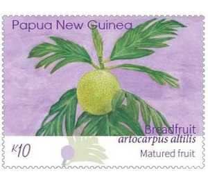 Mature Breadfruit - Melanesia / Papua and New Guinea / Papua New Guinea 2020 - 10