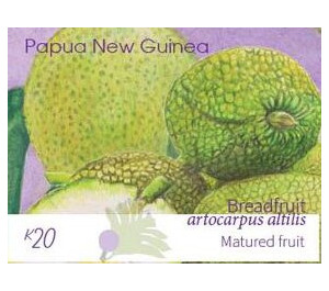 Mature Breadfruit - Melanesia / Papua and New Guinea / Papua New Guinea 2020 - 20