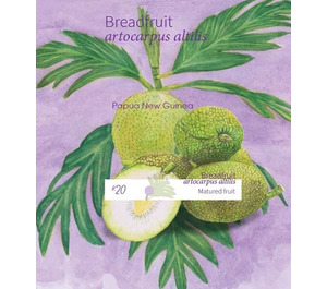 Mature Breadfruit - Melanesia / Papua and New Guinea / Papua New Guinea 2020