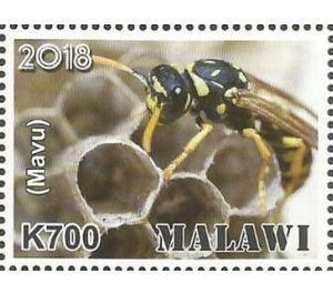 Mavu - East Africa / Malawi 2019 - 700