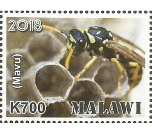 Mavu - East Africa / Malawi 2019 - 700