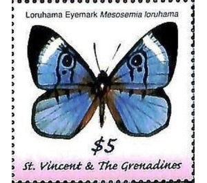 Mesosemia loruhama - Caribbean / Saint Vincent and The Grenadines 2019 - 5