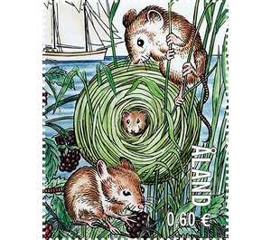 Mice in Grass Nest - Åland Islands 2019 - 0.60