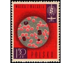 Microscopic view of a blood test - Poland 1962 - 1.50