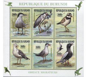 Migratory Birds - East Africa / Burundi 2016