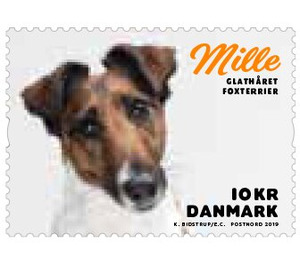 Mille - Denmark 2019 - 10