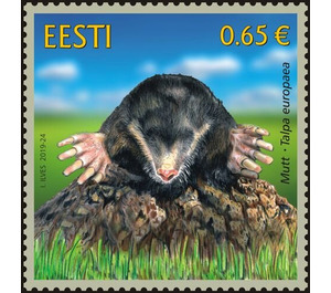 Mole (Talpa europaea) - Estonia 2019 - 0.65