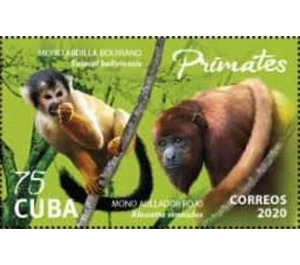 Monkeys - Caribbean / Cuba 2020