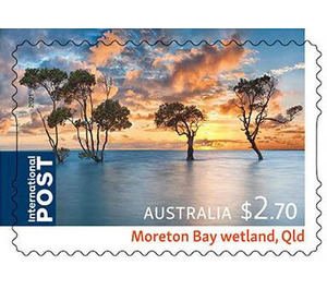 Moreton Bay Wetland, Queensland - Australia 2021 - 2.70