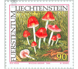 mushroom  - Liechtenstein 2000 - 90 Rappen