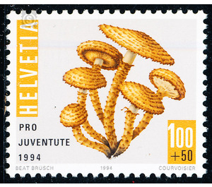 mushroom  - Switzerland 1994 - 100 Rappen