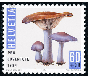 mushroom  - Switzerland 1994 - 60 Rappen