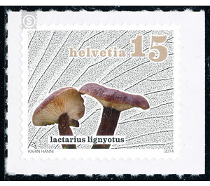 mushroom  - Switzerland 2014 - 15 Rappen