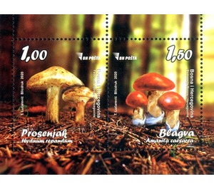 Mushrooms - Bosnia and Herzegovina 2020