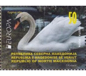 Mute Swan (Cygnus olor) - Macedonia / North Macedonia 2021 - 50