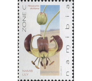 Namib Lily - Hexacrytis dickiana - South Africa / Namibia 2017