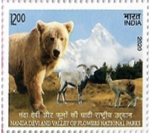 Nanda Devi & Valley of Flowers National Parks - India 2020 - 12