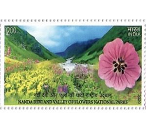 Nanda Devi & Valley of Flowers National Parks - India 2020 - 12