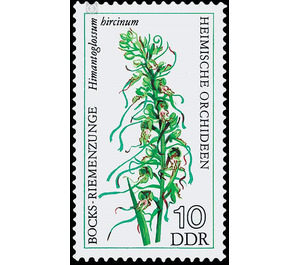 Native orchids  - Germany / German Democratic Republic 1976 - 10 Pfennig