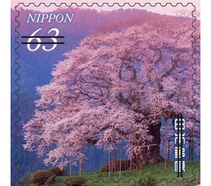 Natural Landscapes - Japan 2021 - 63